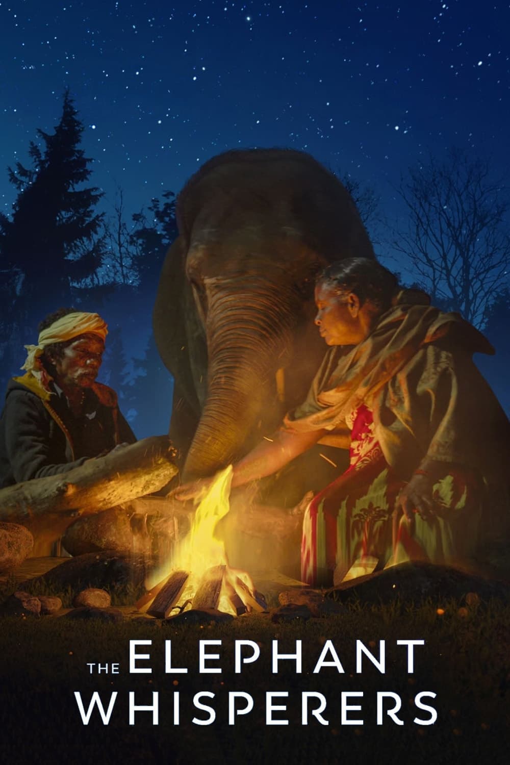 Nuestro bebé elefante