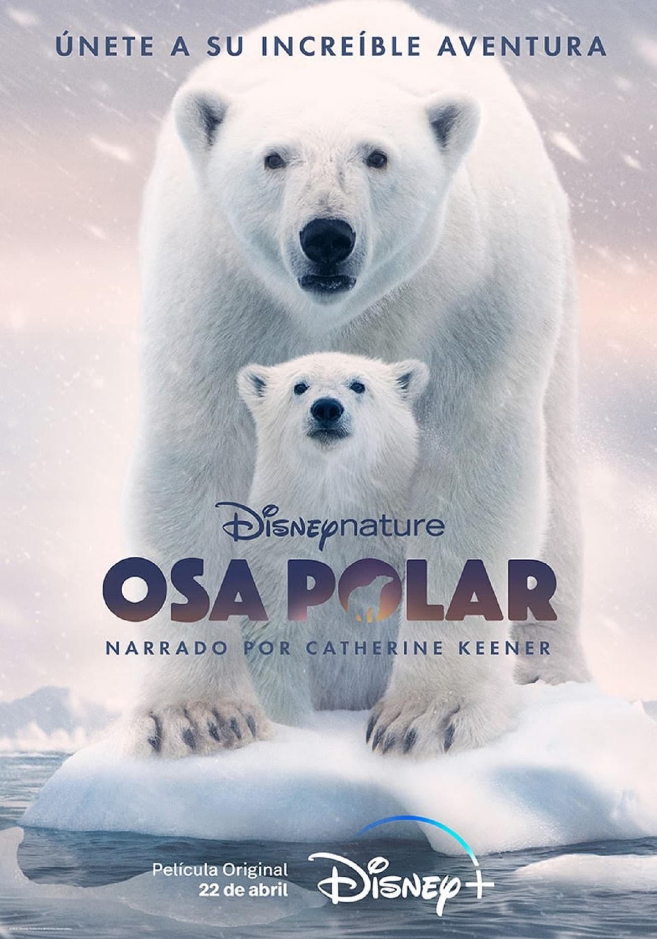 Osa Polar