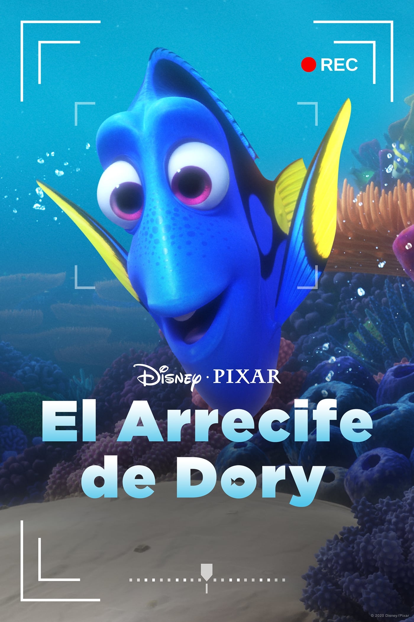 La cámara del arrecife de Dory