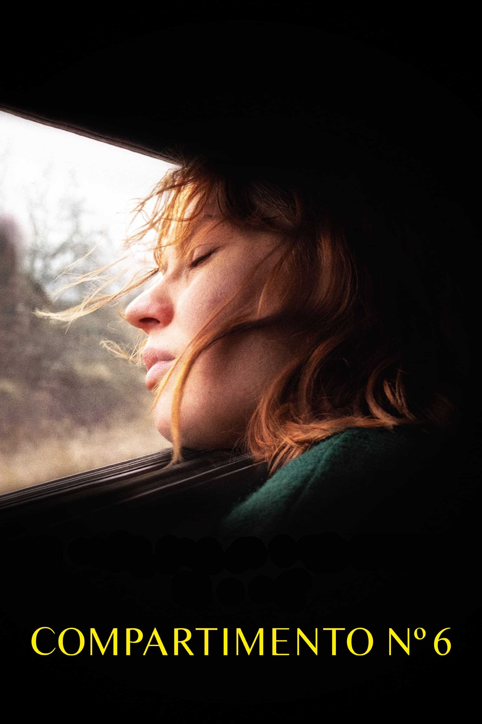 Compartimento Nº 6