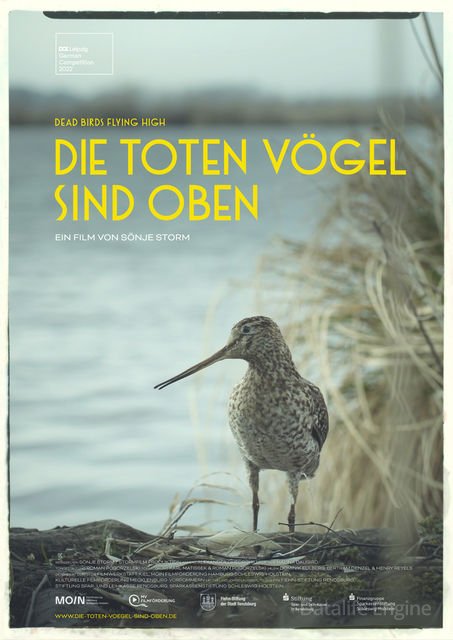 Dead Birds Flying High