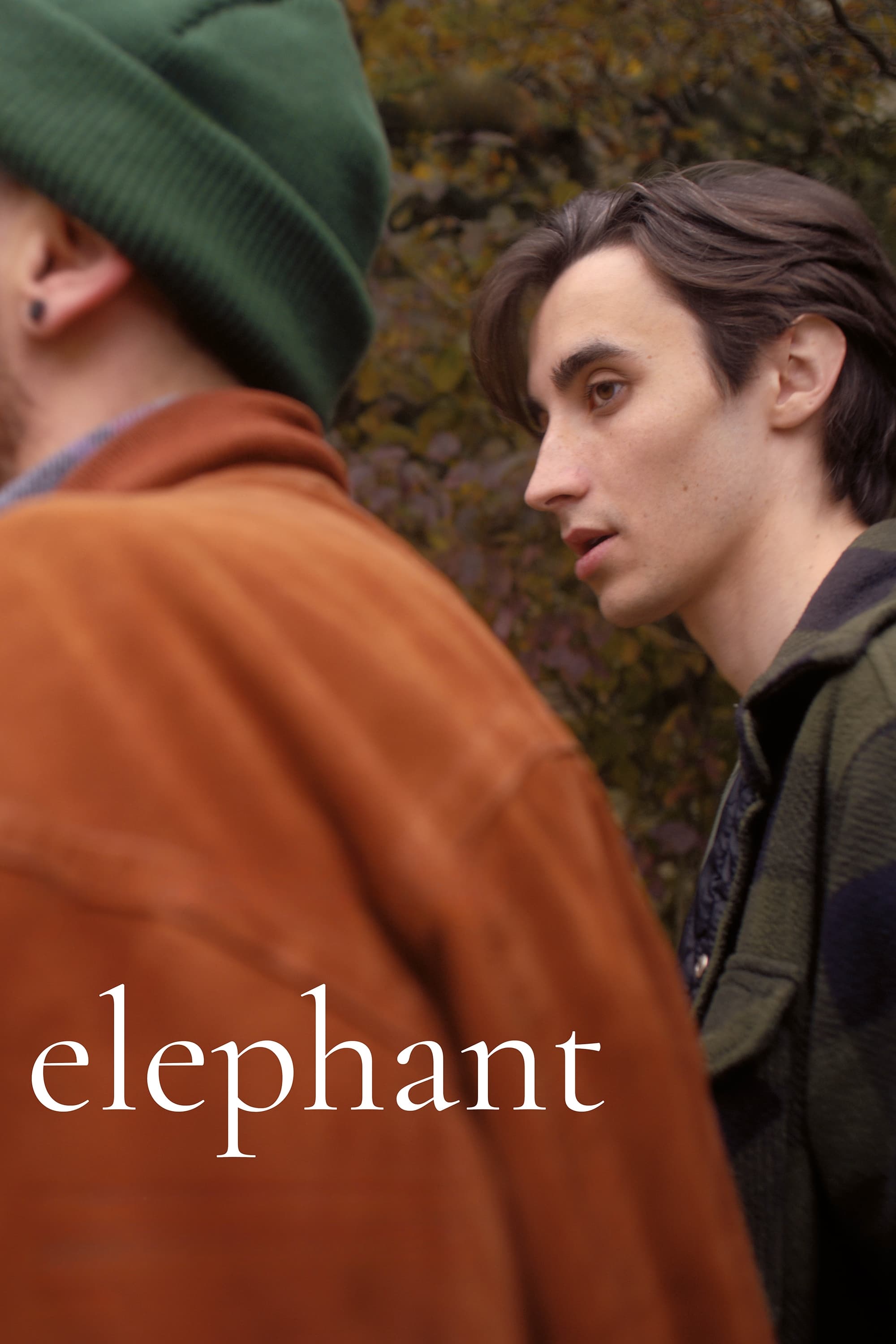 Elefante