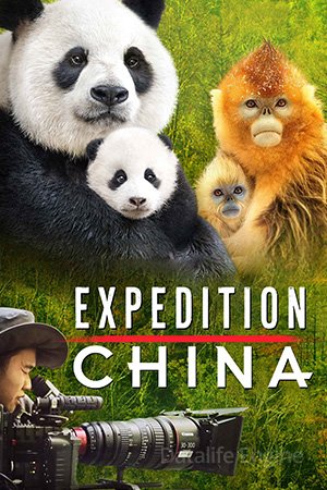 Expedition China