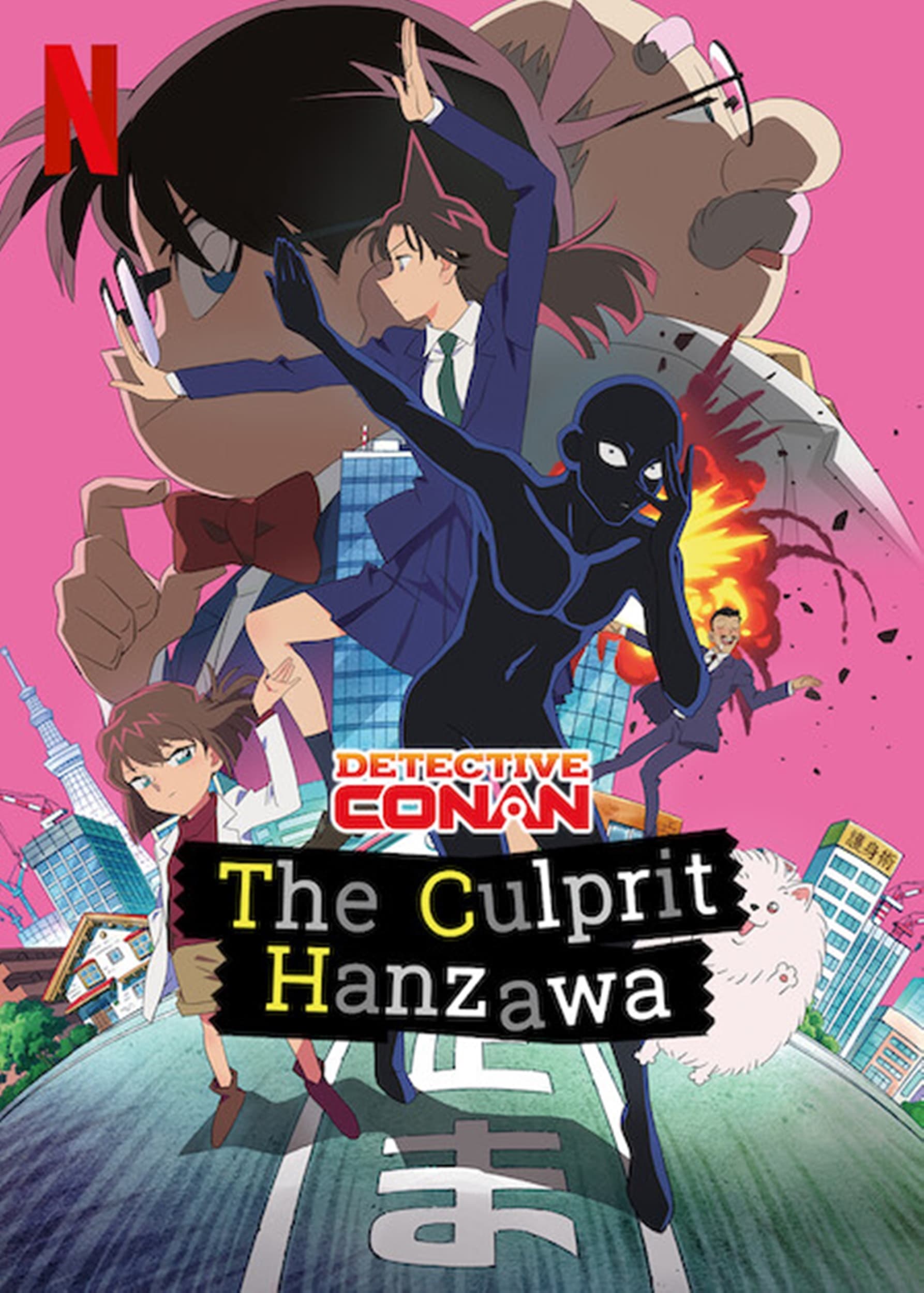 Detective Conan: Hanzawa el culpable