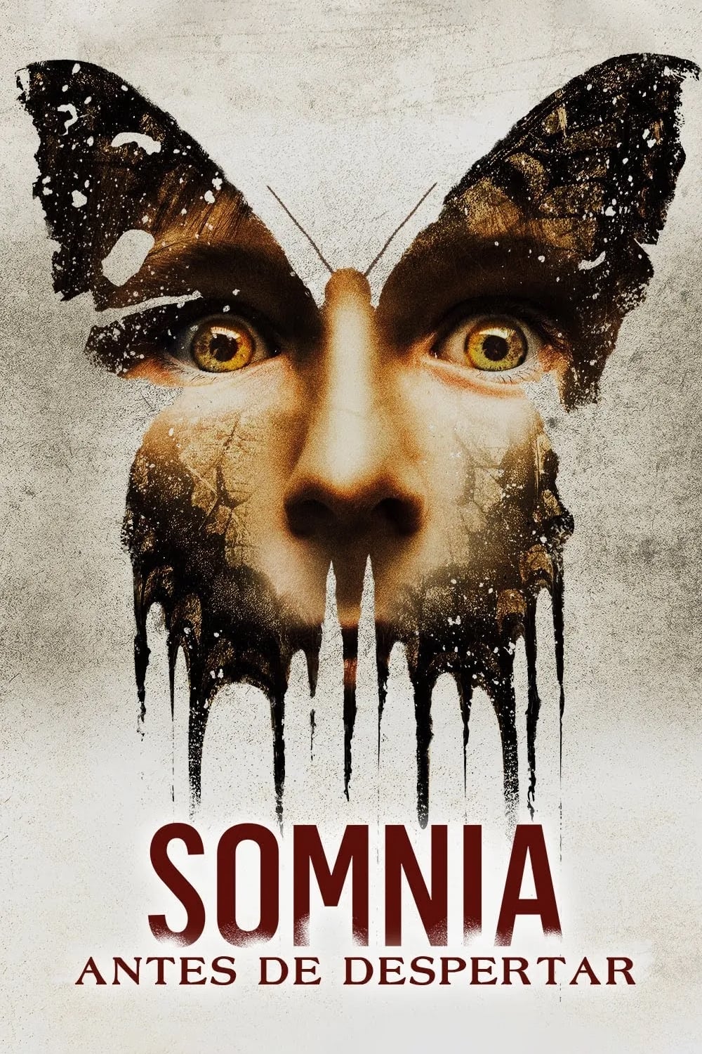 Somnia. Dentro de tus sueños