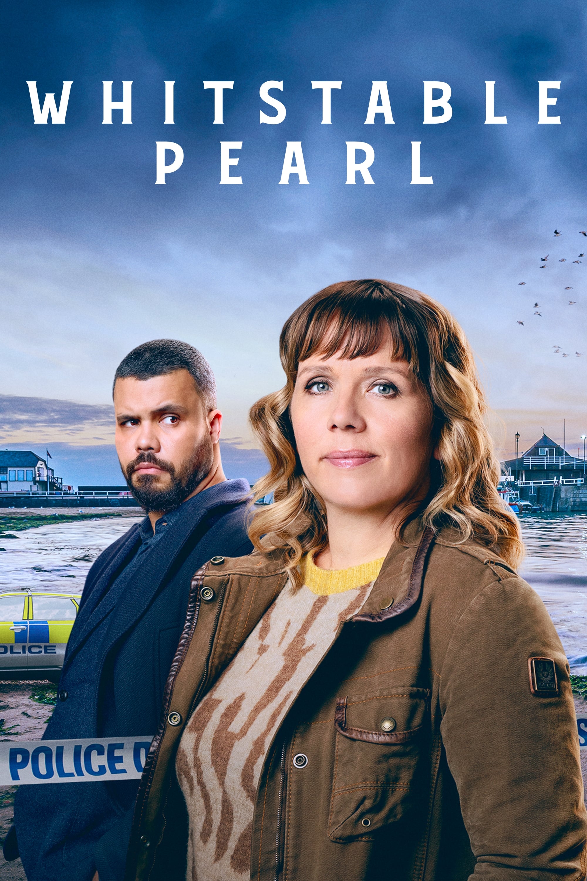 Poster Los casos de Pearl Nolan