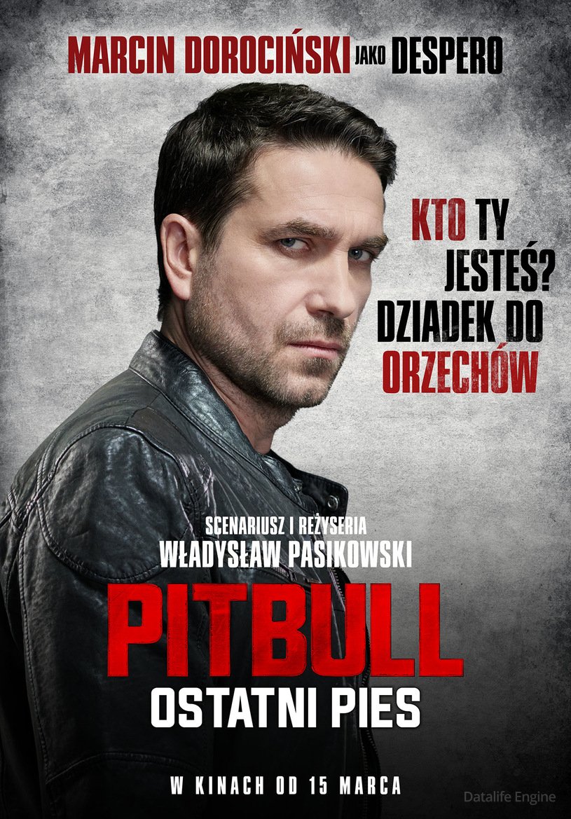 Pitbull. Ostatni pies