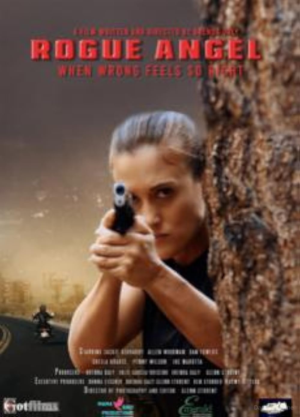 Rogue Angel