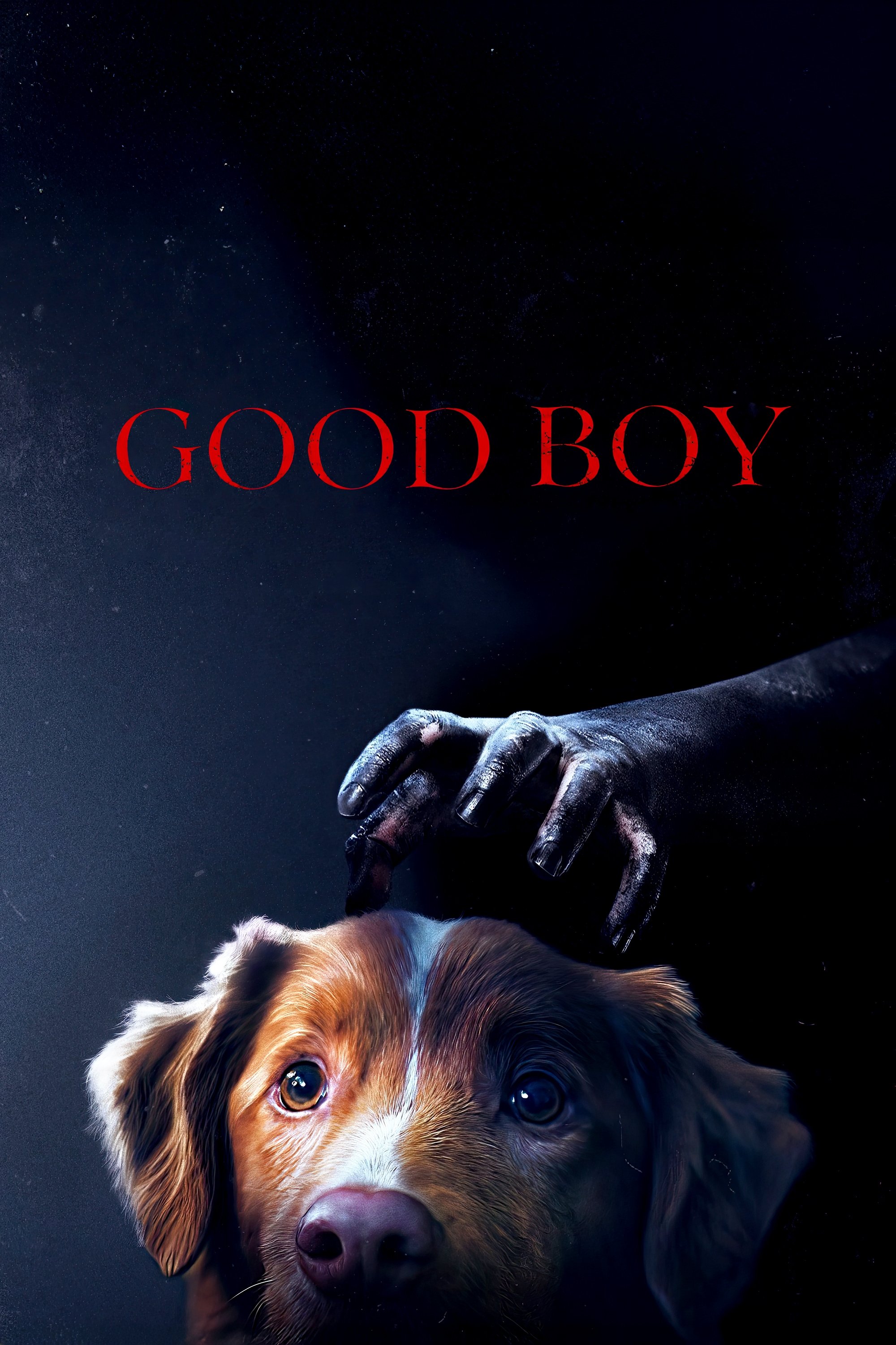 Good Boy