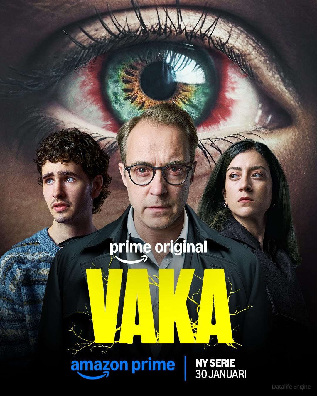 Poster Vaka
